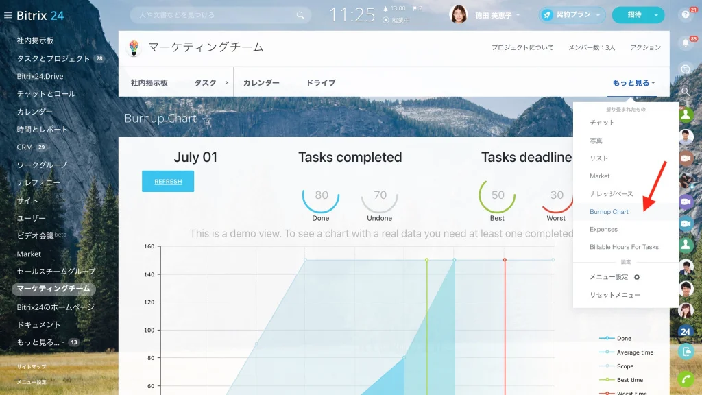 burnup chart 1.jpg